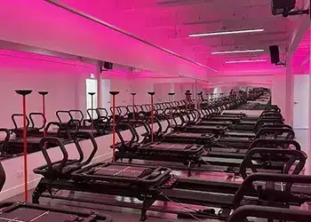 Evolution Fitness