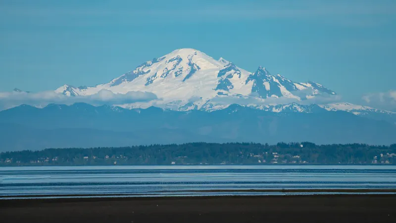 Delta