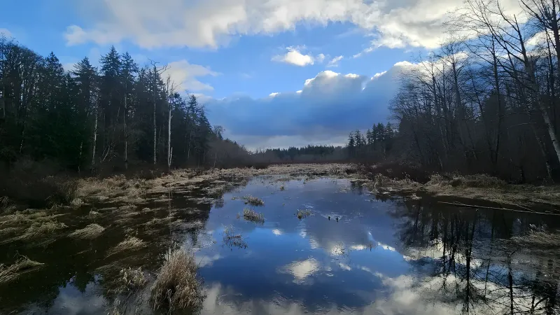 Township of Langley